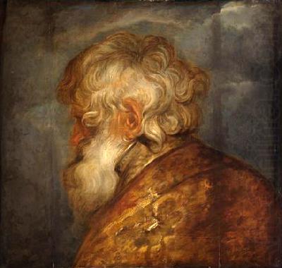 Studienkopf eines alten Mannes, Anthony Van Dyck